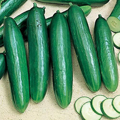 ActrovaX CUCUMBER IMP. POINSET [2gm Seeds] Seed(2 g)