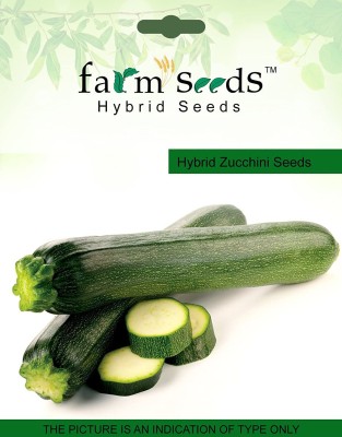 Qualtivate ™ Zucchini Long Seeds(100 Seeds) Seed(100 per packet)