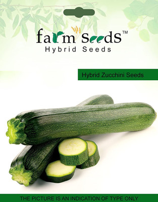 Biosnyg Zucchini Long Seeds 100 Seeds Seed(100 per packet)