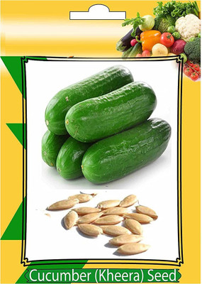 ActrovaX Cucumber Vegetables [1000 Seeds] Seed(1000 per packet)