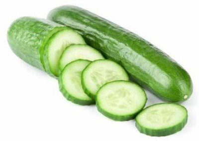 WILLVINE ™High Germination CUCUMBER Seeds Seed(1000 per packet)