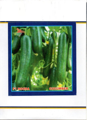 Qualtivate ™ English Cucumber F1 Seeds(150 Seeds) Seed(150 per packet)