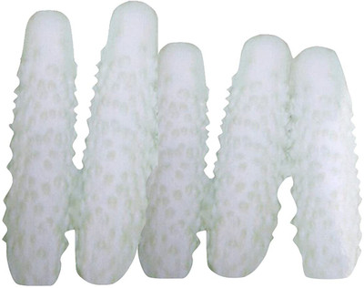 WILLVINE ™Boston Pickles Cucumber Seeds-White Seed(1000 per packet)