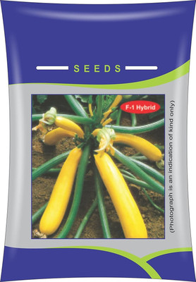 ActrovaX F1 Hybrid Zucchini Yellow [100 Seeds] Seed(100 per packet)