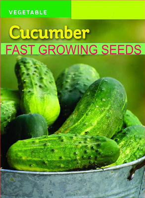 ActrovaX Cucumber - Long Hybrid Vegetable [2000 Seeds] Seed(2000 per packet)