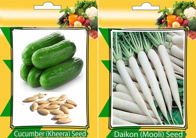 Qualtivate ® Cucumber and Radish Vegetables Seeds(35 Seeds) Seed(35 per packet)