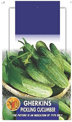 ActrovaX Seeds Gherkins, Small Pickle Cucumber [2gm Seeds] Seed(2 g)