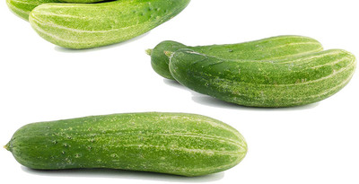WILLVINE ™KHIRA/CUCUMBER SEEDS Seed(1000 per packet)