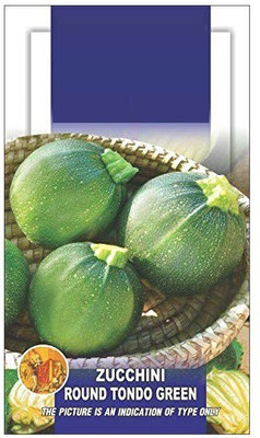 WILLVINE Squash Zucchini Round Green Tondo Exotic Seeds Seed(49 per packet)
