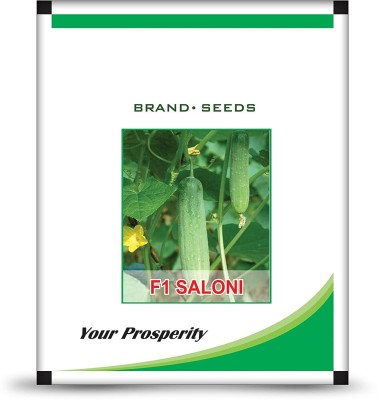 ActrovaX Best Quality Hybrid Cucumber Seed- F1 Saloni [10gm Seeds] Seed(10 g)