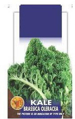 CRGO BRASSICA Seed(10 per packet)