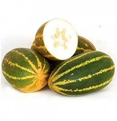 Biosnyg SAMBER CUCUMBER SEEDS 10gm Seeds Seed(10 g)