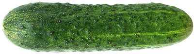WILLVINE ™Boston Pickles Cucumber Seeds Seed(1000 per packet)