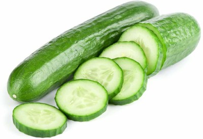 Qualtivate ™ Cucumber Seed, Hybrid Khira Summer Vegetable Seeds (120 Seeds) Seed(120 per packet)