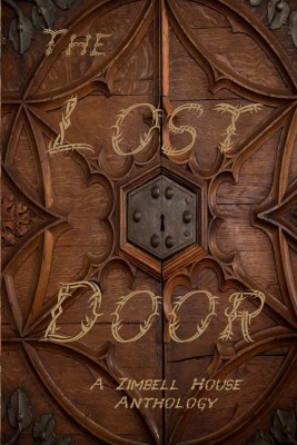 The Lost Door(English, Paperback, Publishing Zimbell House)