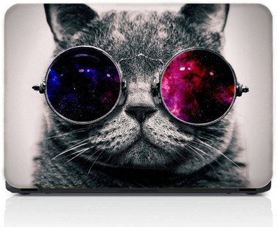 gray wall Cat Vinyl Laptop Skin Compatible for 13.3 inch(Theme: Nature)