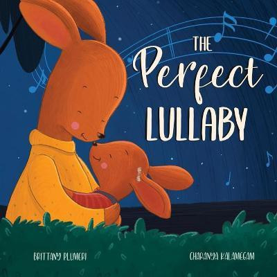 The Perfect Lullaby(English, Paperback, Plumeri Brittany)