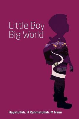 Little Boy Big World(English, Paperback, M Naim Hayatullah H Rahmatullah)