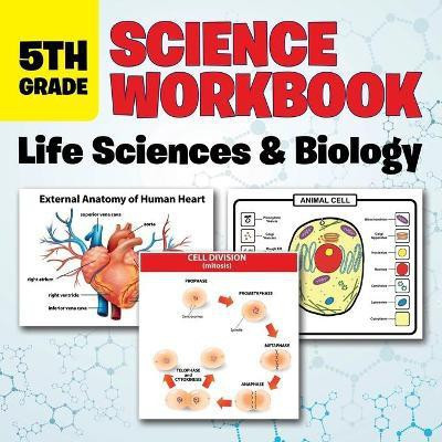 5th Grade Science Workbook(English, Paperback, Baby Professor)