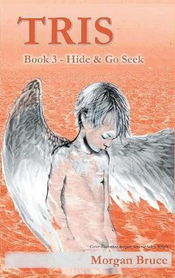 Tris 3 - Hide & Go Seek(English, Hardcover, Bruce Morgan)