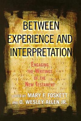 Between Experience and Interpretation(English, Paperback, unknown)