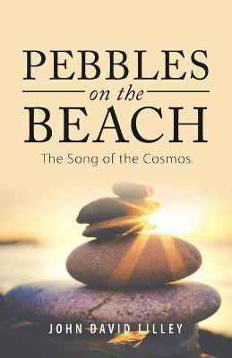 Pebbles on the Beach(English, Paperback, Lilley John David)