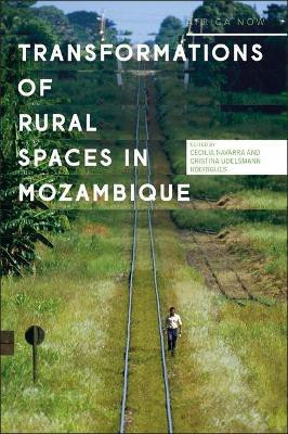 Transformation of Rural Spaces in Mozambique(English, Electronic book text, unknown)