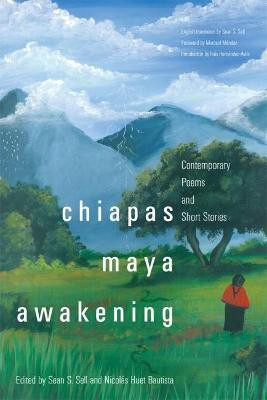 Chiapas Maya Awakening(English, Paperback, unknown)