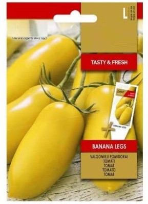 ENINE Tamatar Seed(250 per packet)