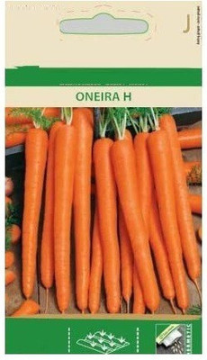 CYBEXIS Carrot ONEIRA H Seeds2000 Seeds Seed(2000 per packet)