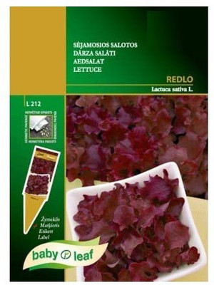 CYBEXIS Lettuce Baby Leaf RED Seeds2000 Seeds Seed(2000 per packet)