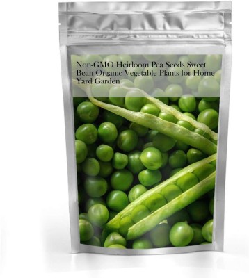 CYBEXIS Pea Seeds Organic Vegetable800 Seeds Seed(800 per packet)