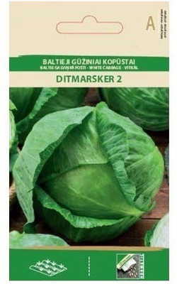 CYBEXIS Cabbage White Ditmarsker 2, Early Seeds2000 Seeds Seed(2000 per packet)