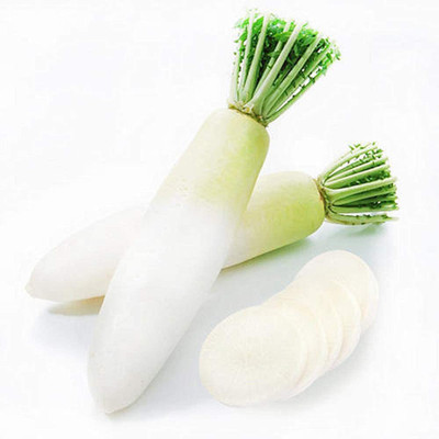 CYBEXIS White Giant Long Radish Seeds2400 Seeds Seed(2400 per packet)