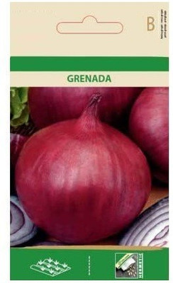 CYBEXIS Onion Nasik Seeds4000 Seeds Seed(4000 per packet)