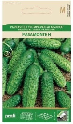 CYBEXIS Cucumber/Gherkin PASAMONTE H Seeds2000 Seeds Seed(2000 per packet)