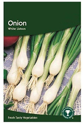CYBEXIS White Onion Seeds2000 Seeds Seed(2000 per packet)
