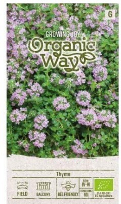 CYBEXIS Thyme Herbs Seeds400 Seeds Seed(400 per packet)