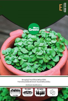 CYBEXIS Sweet Basil MICROGREENS Seeds2000 Seeds Seed(2000 per packet)