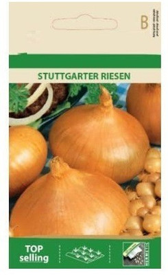 Qualtivate ® Onion STUTTGARTER RIESEN Seeds Seed(1000 per packet)