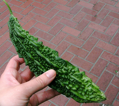 CYBEXIS F1 Hybrid Bitter Gourd Seeds800 Seeds Seed(800 per packet)