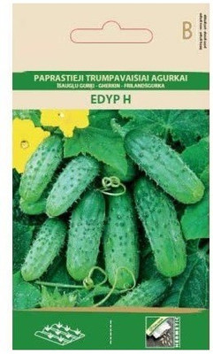 CYBEXIS Cucumber/Gherkin EDYP H Seeds2000 Seeds Seed(2000 per packet)