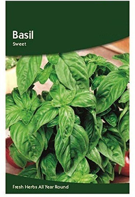 CYBEXIS Basil Sweet Seeds2000 Seeds Seed(2000 per packet)