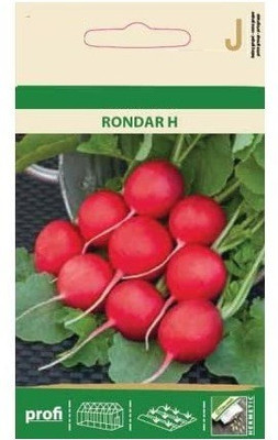 CYBEXIS Radish ROUNDAR HYBRID Seeds600 Seeds Seed(600 per packet)