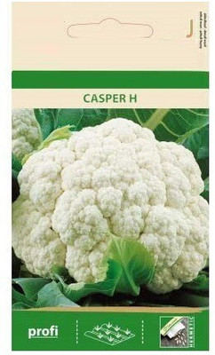 CYBEXIS Cauliflower Casper H Seeds2000 Seeds Seed(2000 per packet)