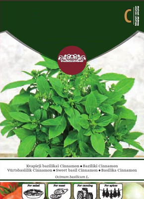 CYBEXIS Sweet Basil CINNAMON Seeds2000 Seeds Seed(2000 per packet)