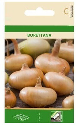 CYBEXIS Onion BORETTANA Seeds4000 Seeds Seed(4000 per packet)