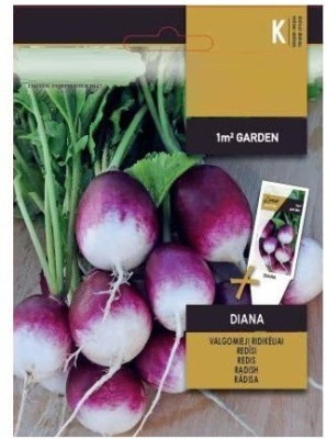 CYBEXIS Radish Diana Seeds2400 Seeds Seed(2400 per packet)