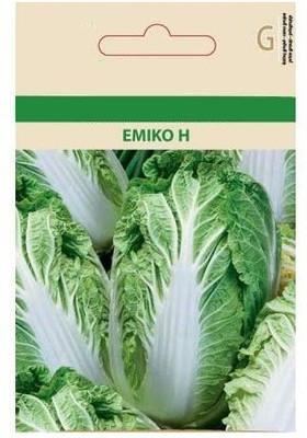 CYBEXIS Chinese Cabbage Seeds1000 Seeds Seed(1000 per packet)