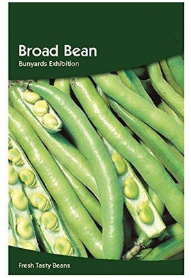CYBEXIS Broad Bean Bunyards Seeds-100 Seeds Seed(100 per packet)